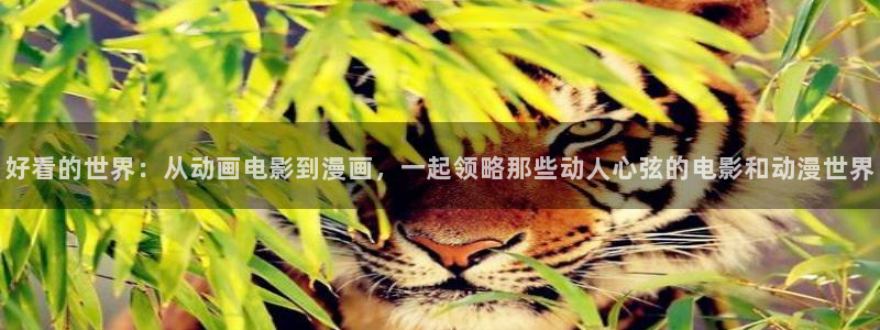 58动漫看