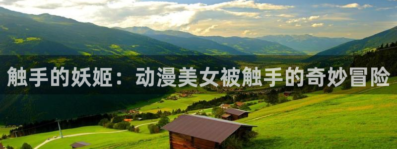 58动漫城